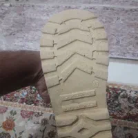 کفش نیم بوت|کیف، کفش، کمربند|قیدار, |دیوار