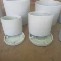 گلدون سرامیکی|گل و گیاه طبیعی|شیراز, جوادیه|دیوار