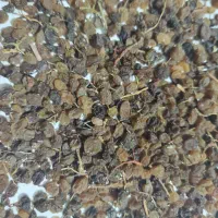 کشمش تیزابی|خوردنی و آشامیدنی|تاکستان, |دیوار