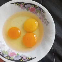 تخم مرغ محلی تازه|خوردنی و آشامیدنی|قم, شهرک امام حسین|دیوار