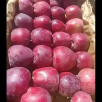 سیب درجه 2 و درجه 1