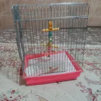 قفس پرنده کاسکو