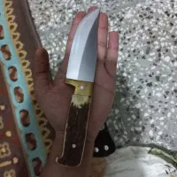 چاقو کلکسیونی|کوهنوردی و کمپینگ|آزادشهر, |دیوار