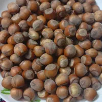 فندق تازه و امساله دیلمان