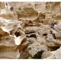 نیازمند کانترمن جلوی درب ستی سنتر|استخدام بازاریابی و فروش|قشم, |دیوار