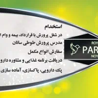 لاوبرد قناری برزیلی قفس ملنگو طوطی|پرنده|مشهد, فاطمیه|دیوار