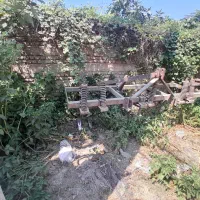 پنجه غازی|ماشینآلات صنعتی|فاضل آباد, |دیوار