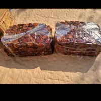 خرما خاصویی جم درجه یک و خرما حلاب