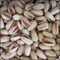 فروش مغز پسته با قیمت مناسب
