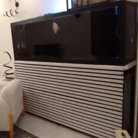 اکواریوم ماهی بزرگ