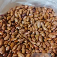 لوبیا چیتی ۲۹۰ ولپه نخود۲۲۰|خوردنی و آشامیدنی|آباده, |دیوار