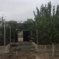باغچه-نقلی-چسب-بافت-مناسب-سرمایه-گذاری-تاب-لوکیشن