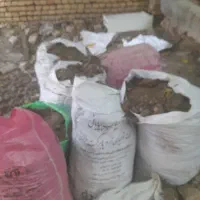 کود گوسفندی و مرغی قاطی عالی و خشک پودری