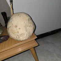 سنگ اورپال راف شیری