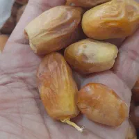قصب زاهدی|خوردنی و آشامیدنی|کردیان, |دیوار