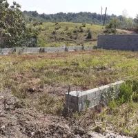 فروش زمین 500 متری تازاباد سیاهکل محصور|فروش زمین و ملک کلنگی|سیاهکل, |دیوار