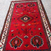 فرش دستبافت قدیمی که با حساسیت نگه داری شده|فرش|مرودشت, نقش رستم|دیوار