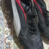 کفش فوتبالی ،چمن|کیف، کفش، کمربند|مشهد, شهید قربانی|دیوار