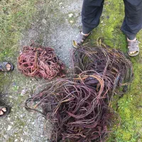 ضایعات|عمده‌فروشی|نوشهر, |دیوار