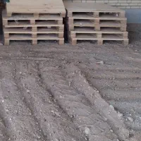 پالت چوبی نو