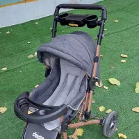 کالسکه دلیجان مدل بنیتا