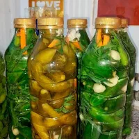 انواع ترشی خانگی|حراج|اسدآباد, |دیوار