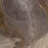 پرده حریر ترک دوخته نشده|پرده، رانر، رومیزی|تهران, امانیه|دیوار