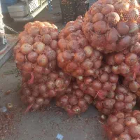 فروش زمین کشاورزی|اجارهٔ دفتر صنعتی، کشاورزی، تجاری|خرم بید, |دیوار