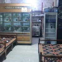 دو نفر نیروی کار جهت کار در پیک غذا