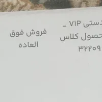 تارا دندهای، مدل ۱۴۰۴