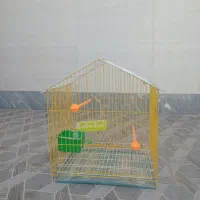 قفس نو سه ماه کارکرده