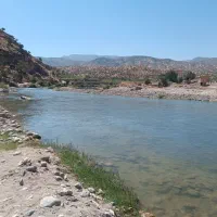 تمیز کاری خونه و باغ ویلا