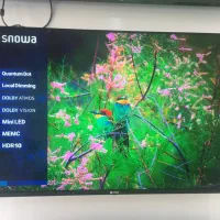 تخفیف میلیونی تلویزیون اسنوا