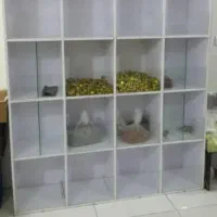 استند آجیل و خشکبار|فروشگاه و مغازه|میناب, |دیوار