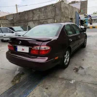 ماشین ماکسیما مدل ۸۱|خودرو سواری و وانت|زاهدان, |دیوار