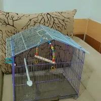 قفس پرنده کاملا نو