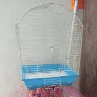 قفس