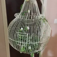 قفس پرنده هم تزیینی