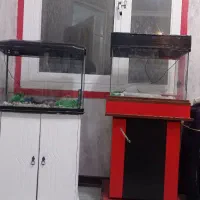 دو عدد آکواریوم ماهی با کمد آکواریوم