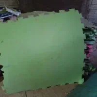 تاتامی وتوپ استخری