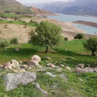 گردش روزانه