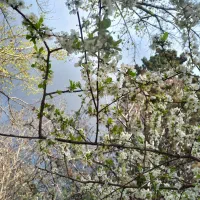 معلم خصوصی ،تدریس خصوصی،معلم ابتدایی