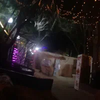 نیروی کار