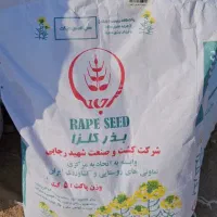 گلزار تاریخ روز ۴۰۴