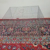 قفس پرنده نو نو هستش