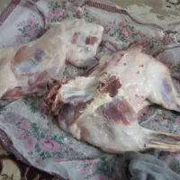 با سلام 10کیلو گوشت بره ماده