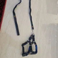 قلاده