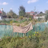 زمین کاربری مسکونی بر خیابون زیر قیمت|فروش زمین و ملک کلنگی|رشت, سلیمانداراب|دیوار