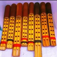 نی انبان اصیل جنوبی