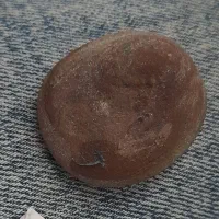 سنگ فسیل